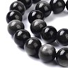 Natural Silver Obsidian Beads Strands X-G-D083-01A-3