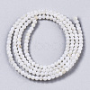Natural Freshwater Shell Beads Strands BSHE-T009-01F-2