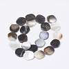 Black Lip Shell Beads Strands X-BSHE-T002-02-2