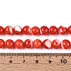 Natural Trochus Shell Mother of Pearl Shell Beads Strands SSHEL-T012-06-4