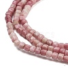 Natural Rhodonite Beads Strands G-H042-B43-01-4