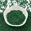 Baking Paint Glass Seed Beads X-SEED-S042-05B-66-2