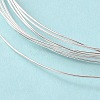 Dead Soft 925 Sterling Silver Wire STER-NH001-A-2