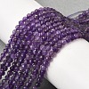 Natural Amethyst Beads Strands G-F460-50-A-5