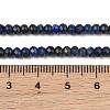 Natural Lapis Lazuli Beads Strands G-L587-B03-02-8