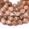 Natural Peach Moonstone Beads Strands G-Z119-A18-02-5