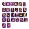 26Pcs 26 Styles Rectangle Natural Amethyst Lettern Stones PW-WG36204-01-1