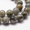Natural Labradorite Bead Strands G-G735-29-8mm-3