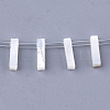 Natural Sea Shell Beads X-SHEL-T012-60I-1