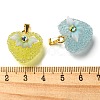 Druzy Resin Pendants RESI-G086-01G-3