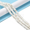 Natural Howlite Beads Strands G-E604-A01-A-2