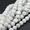 Natural Rainbow Moonstone Beads Strands G-I249-B04-02-2
