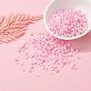 Glass Seed Beads X-SEED-S059-010-6