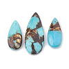 Assembled Bronzite and Synthetic Turquoise Pendants G-S328-003J-2