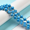 Dyed Natural Howlite Beads Strands G-G023-B01-02A-2