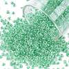 12/0 Glass Seed Beads SEED-A015-2mm-2218-1