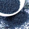MIYUKI Round Rocailles Beads X-SEED-G007-RR0347-1