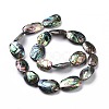 Natural Abalone Shell/Paua Shell Beads SSHEL-E379-1-3