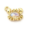 Alloy Rhinestone Pendants X-PALLOY-D330-02G-01B-1