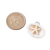 Summer Beach Natural Shell Pendants PALLOY-JF02649-3
