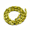 Natural Freshwater Shell Beads Strands SHEL-N026-212-B04-2