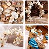 Mixed Natural Shell Bead Sets BSHE-PH0003-03-7