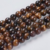 Natural Tiger Eye Beads Strands G-GSR6mmC014-AB-1
