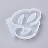 Letter DIY Silicone Molds DIY-I034-08G-1