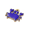 Ion Plating(IP) 201 Stainless Steel Charms STAS-A101-01A-05G-2