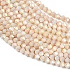 Electroplate Bicone Glass Beads Strands GL-T021-2.5x3mm-16-14-3