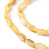 Natural Freshwater Shell Dyed Beads Strands SHEL-M018-13-09-3