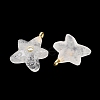 Natural Quartz Crystal Pendants X-G-H353-01G-02-2