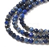 Natural Lapis Lazuli Bead Strands G-G936-2mm-22-3