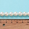 Shell Pearl Bead Strands BSHE-L026-03-8mm-7
