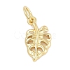 Rack Plating Brass Pendants KK-Q028-08G-1