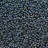 MIYUKI Round Rocailles Beads X-SEED-G007-RR0456-3