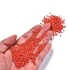 Opaque 12/0 Glass Seed Beads SEED-S023-01C-11-2