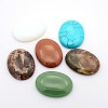 Gemstone Cabochons G-P024-M-1