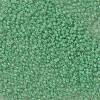 TOHO 11/0 Round Beads X-SEED-TR11-0156-2