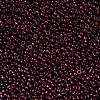 MIYUKI Round Rocailles Beads X-SEED-G009-RR0313-2