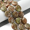 Natural Unakite Beads Strands G-K365-B08-03-2