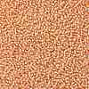 TOHO 11/0 Round Beads X-SEED-TR11-0301-2