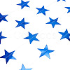 Paper Star Shape Flags FEPA-TAC0001-002-2