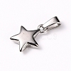 Tarnish Resistant 304 Stainless Steel Charms STAS-I127-067P-2