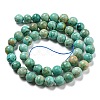 Natural Peruvian Turquoise(Jasper) Beads Strands G-A219-A05-03-2