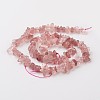 Chip Natural Strawberry Quartz Bead Strands G-M349-02-2