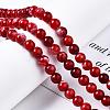 Dyed Natural Crackle Agate Beads Strands G-T100-03C-6