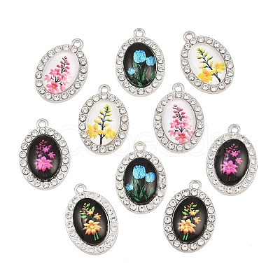 Zinc Alloy Resin Pendants RE-CBA4818-01P-1