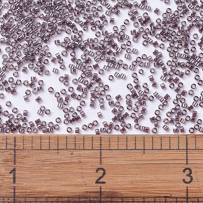 MIYUKI Delica Beads X-SEED-J020-DB1224-1