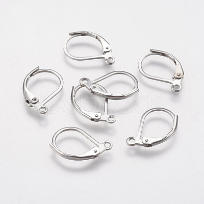 Tarnish Resistant 304 Stainless Steel Leverback Earring Findings STAS-F141-03P-1
